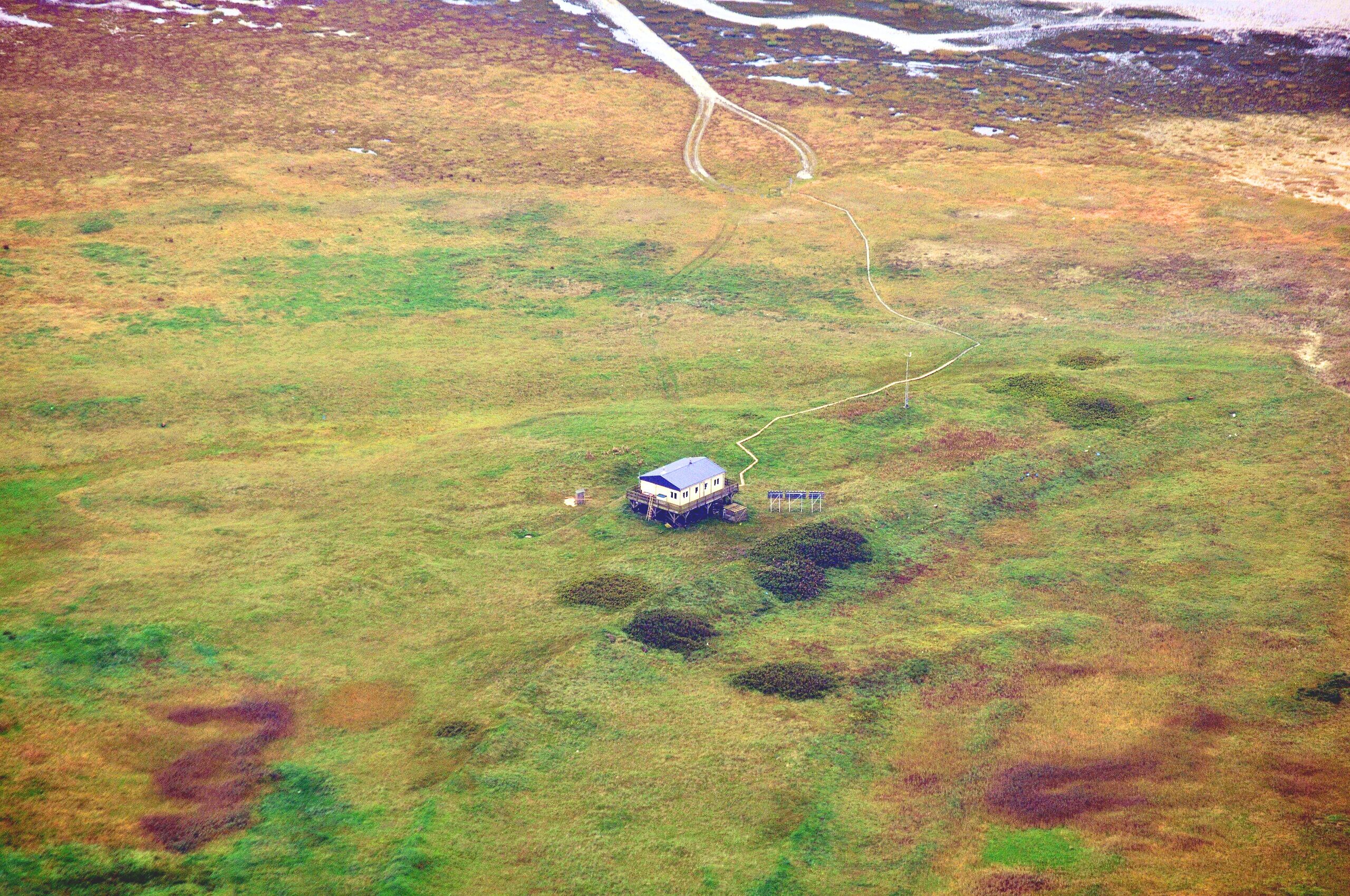 Wandere zum entlegensten Ort der Hamburger Wildnis in Scharhörn