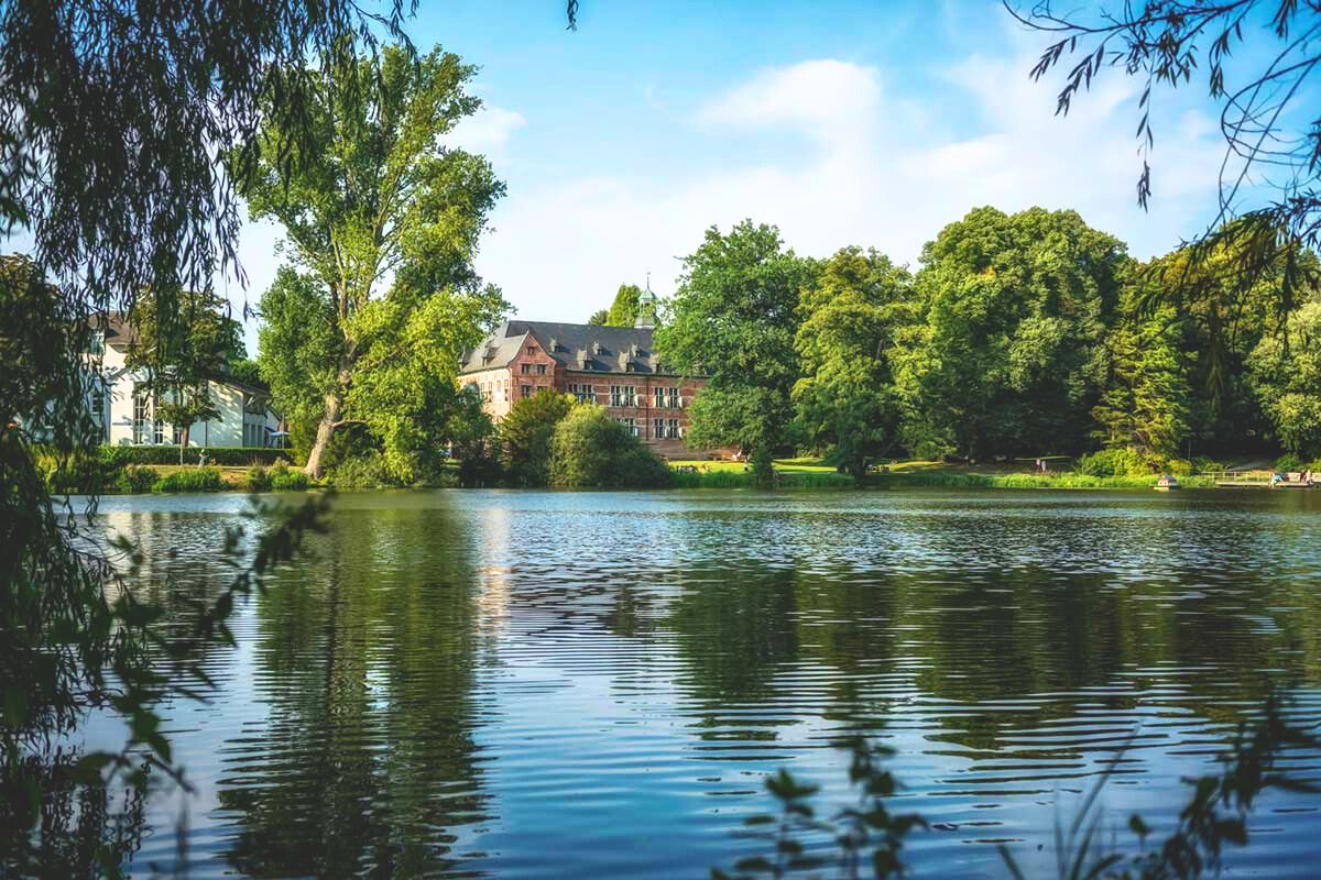 Spaziere zwischen Baumriesen im Schlossgarten Reinbek