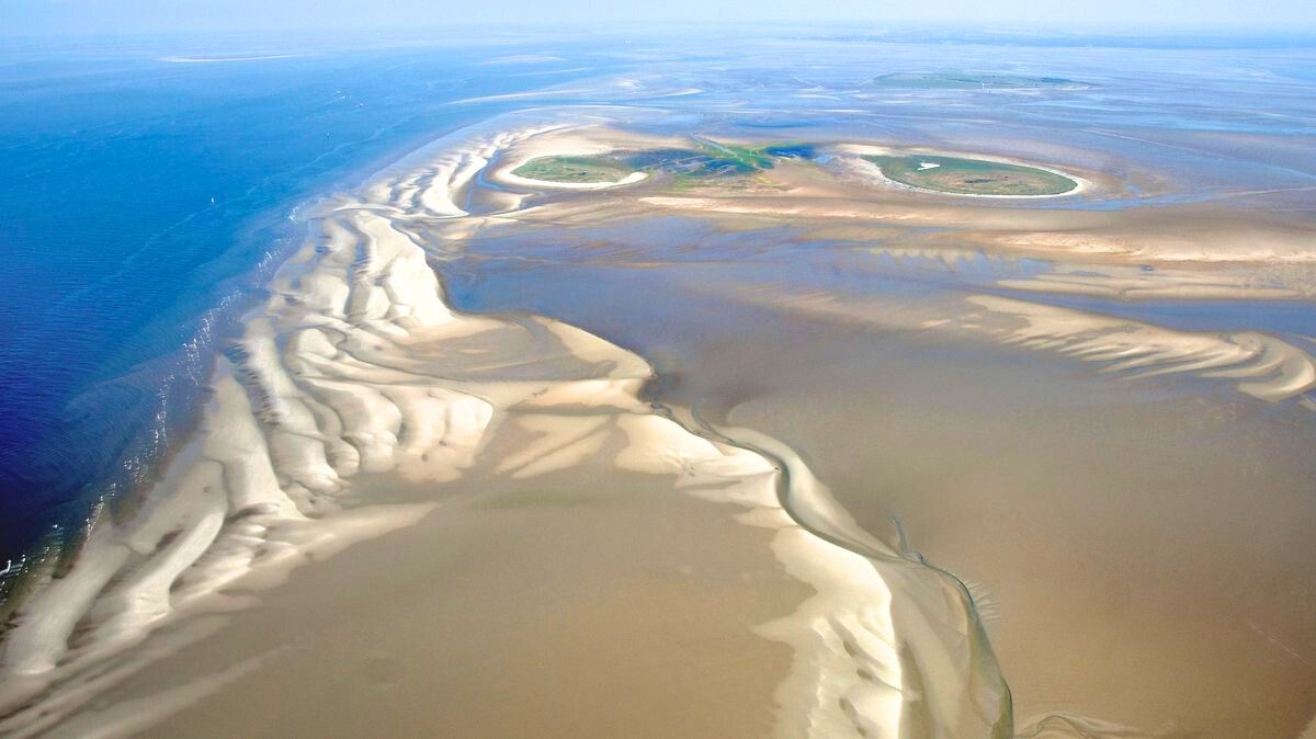 Wandere bei Ebbe auf dem UNESCO Weltkulturerbe Wattenmeer