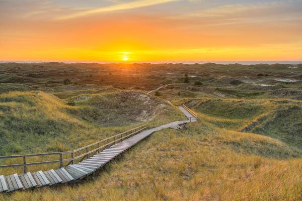 Wandere im Dünengürtel von Amrum