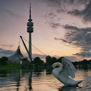 Olympiapark Runde um 7 Uhr früh