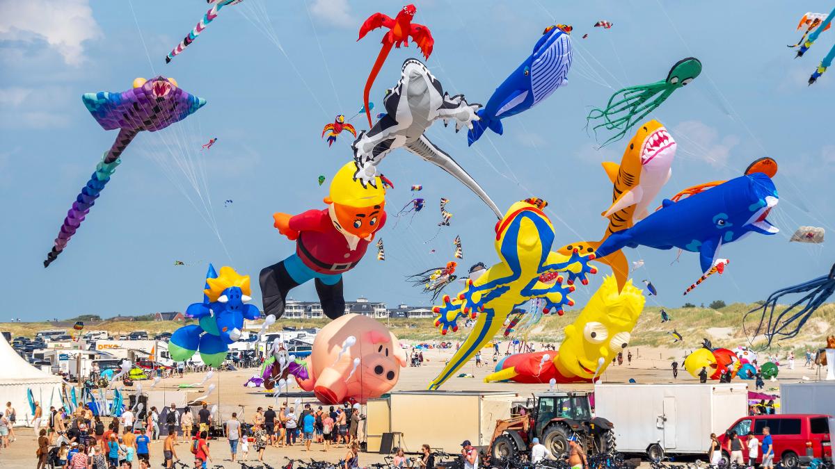 Erlebe das Drachenfest